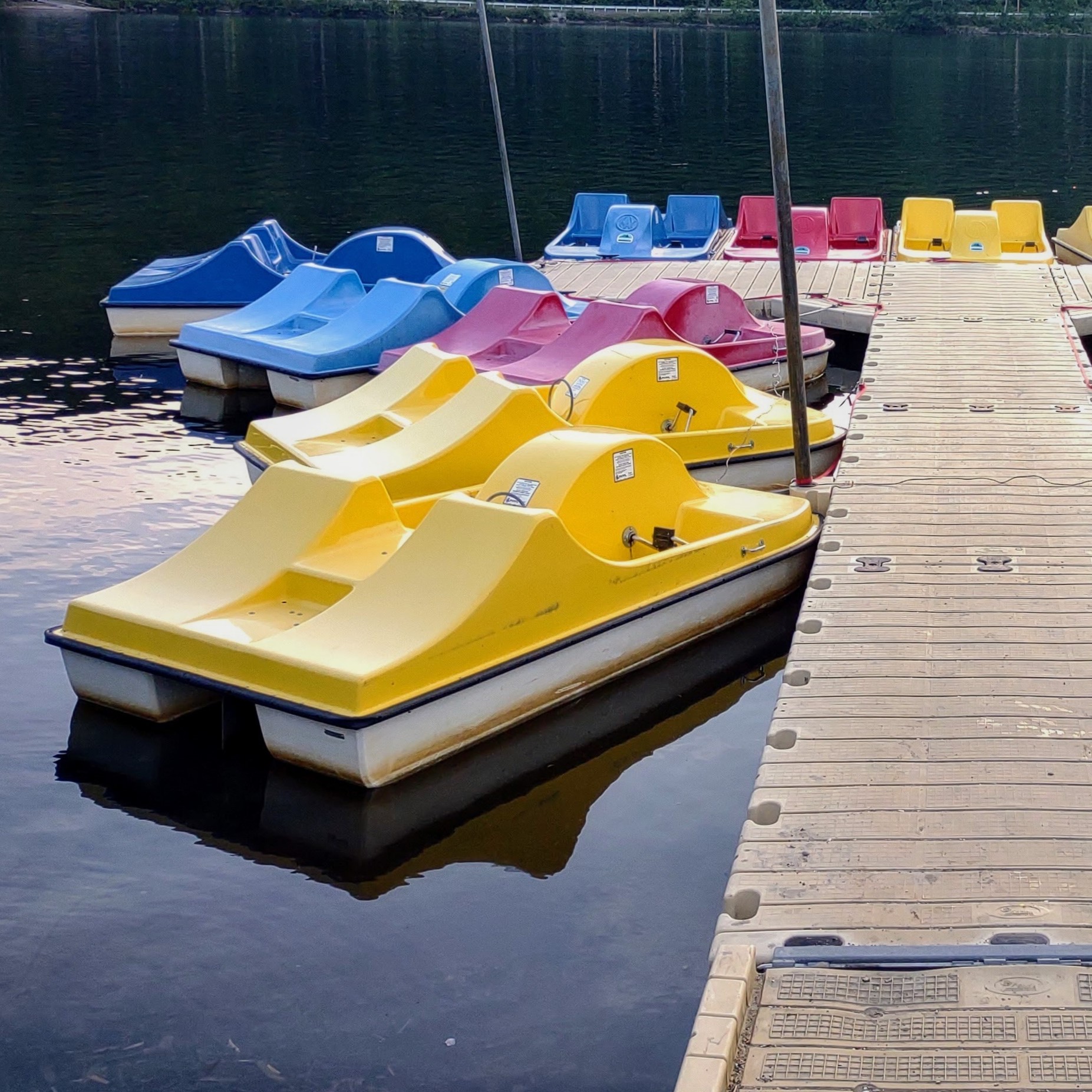 Pedal Boat